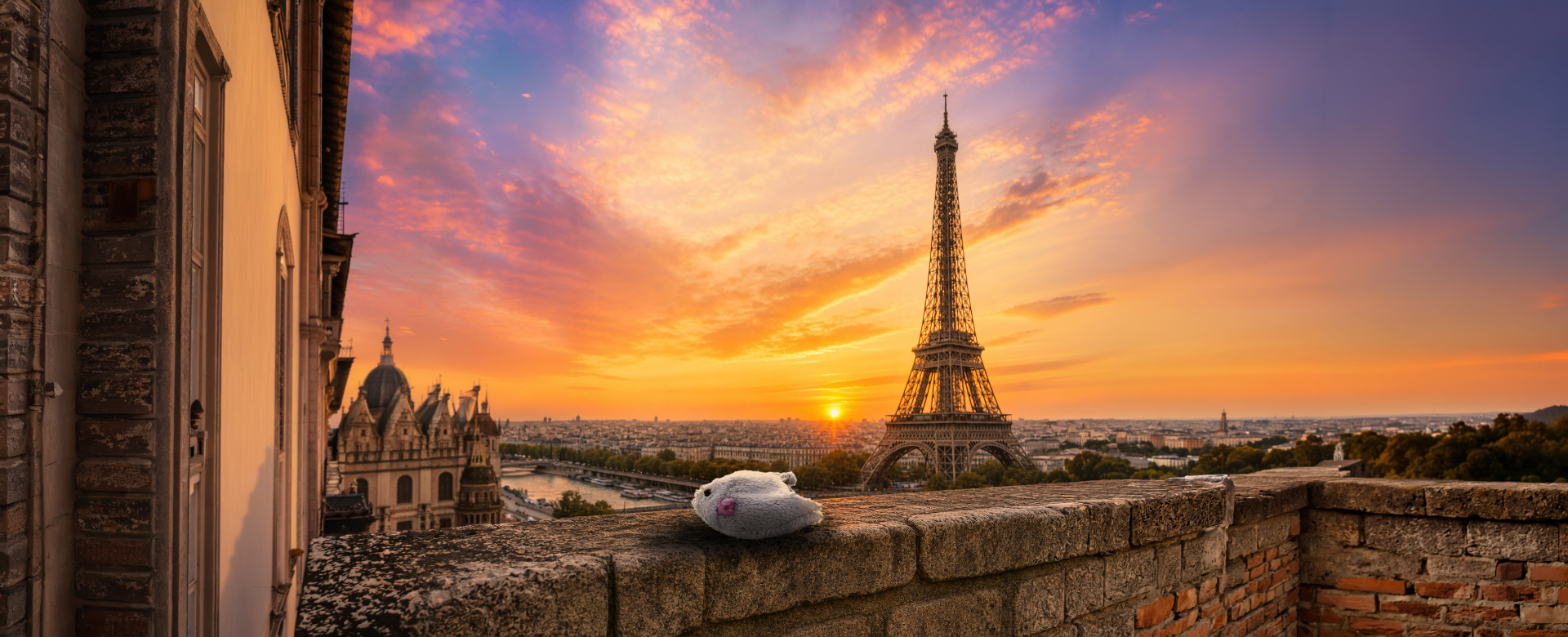 Mouse Toy at the Eiffel Tower at sunset